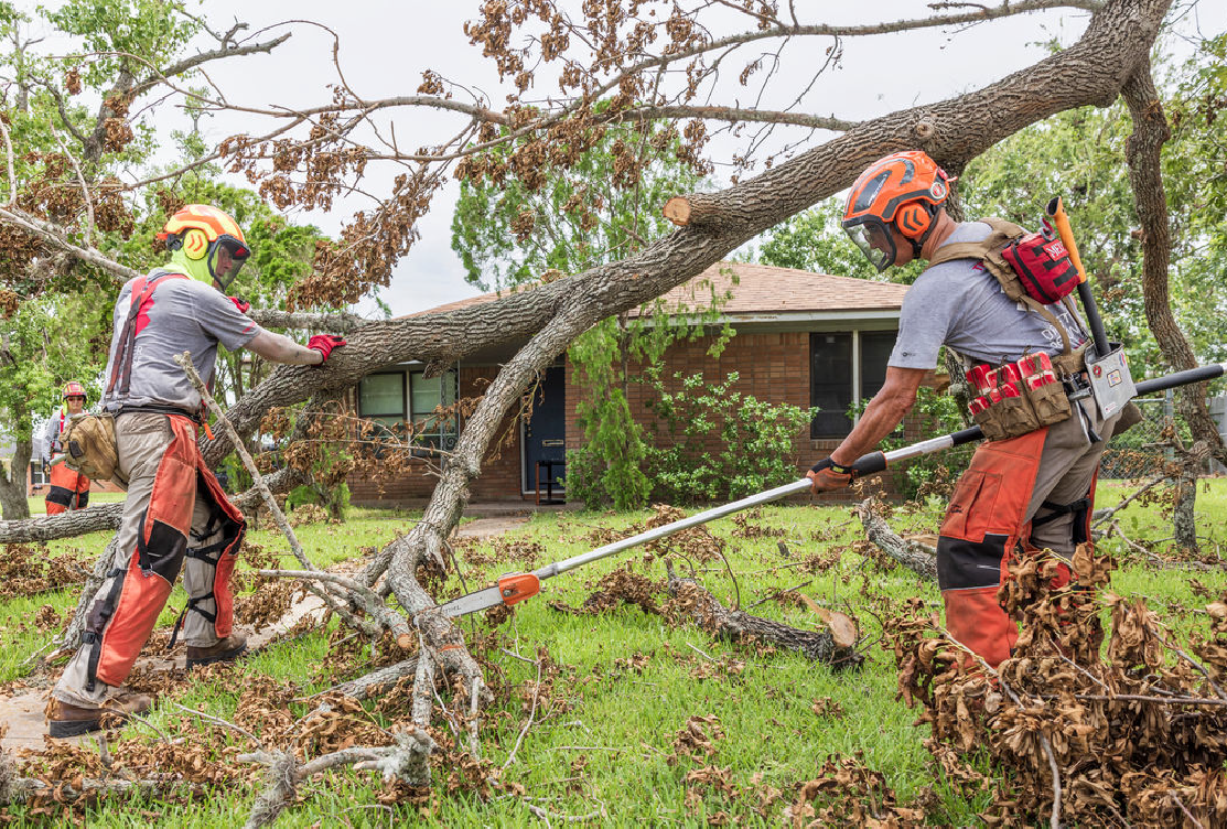 Two people wearing helmets clear fallen branches in front of a house.