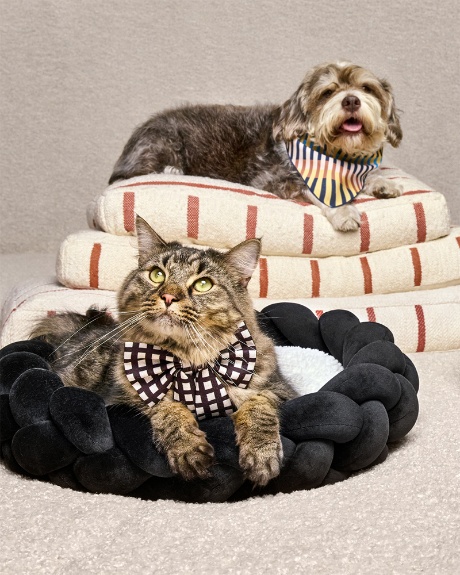 A dog and a cat pose on two pet beds from The Cuddle Collab collection.