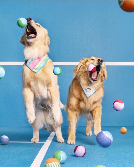 Fur-fluencers, Ellie and Emma, play with tennis balls from The Cuddle Collab collection.