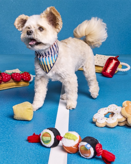 Fur-fluencer, Popeye, poses with food-inspired dog toys from The Cuddle Collab collection.