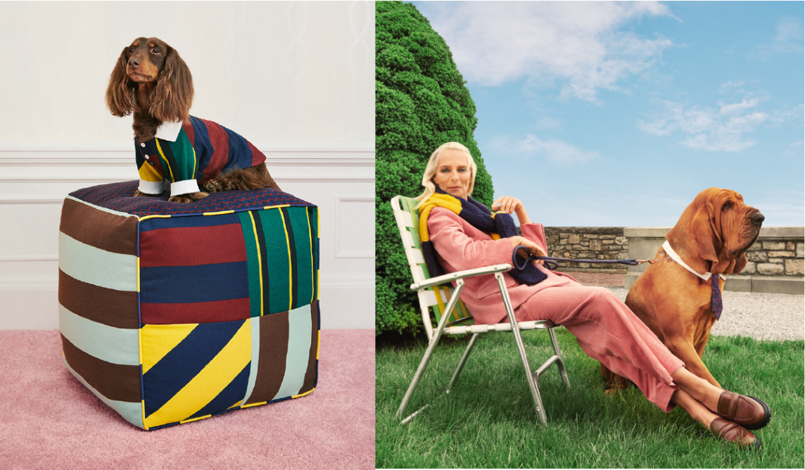 A collage showing a brown dog on top of a striped ottoman and a model sitting with a large tan dog.