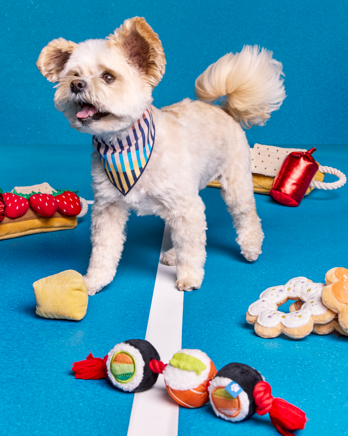 A dog stands near a series of food-themed toys from The Cuddle Collab.